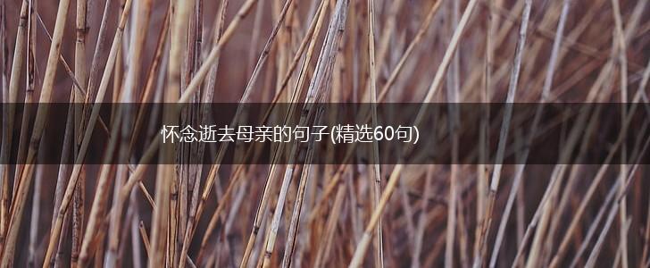 怀念逝去母亲的句子(精选60句),第1张