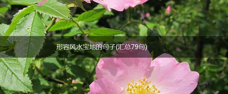 形容风水宝地的句子(汇总79句),第1张