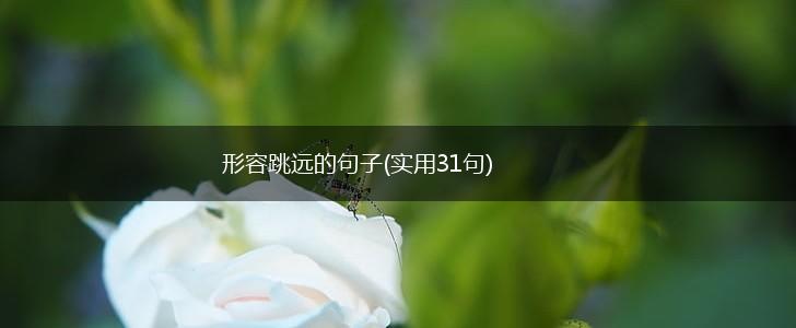 形容跳远的句子(实用31句),第1张