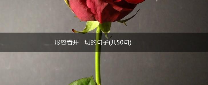形容看开一切的句子(共50句),第1张