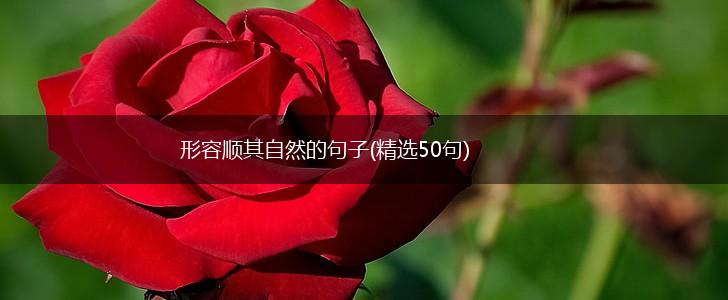 形容顺其自然的句子(精选50句),第1张