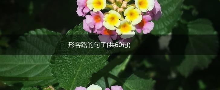 形容路的句子(共60句),第1张