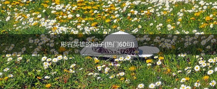 形容英雄的句子(热门60句),第1张