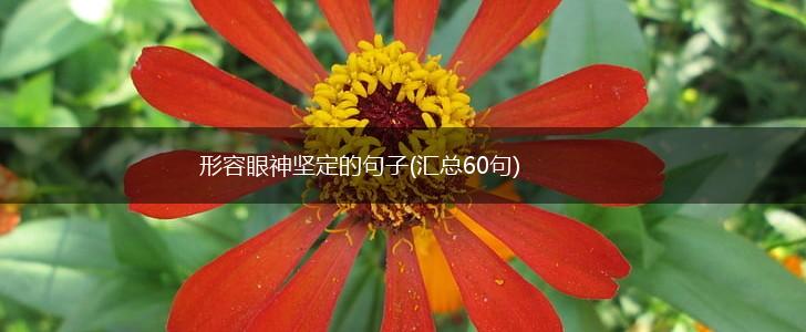 形容眼神坚定的句子(汇总60句),第1张