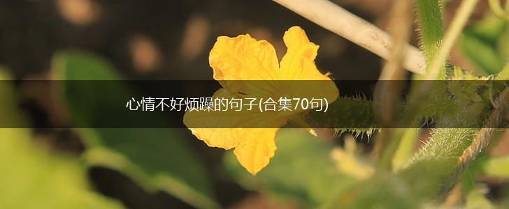 心情不好烦躁的句子(合集70句),第1张