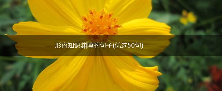 形容知识渊博的句子(优选50句),第1张