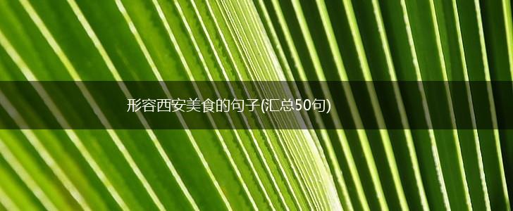 形容西安美食的句子(汇总50句),第1张