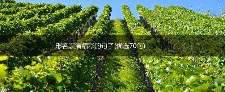 形容表演精彩的句子(优选70句),第1张