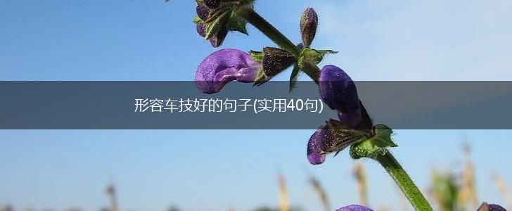 形容车技好的句子(实用40句),第1张