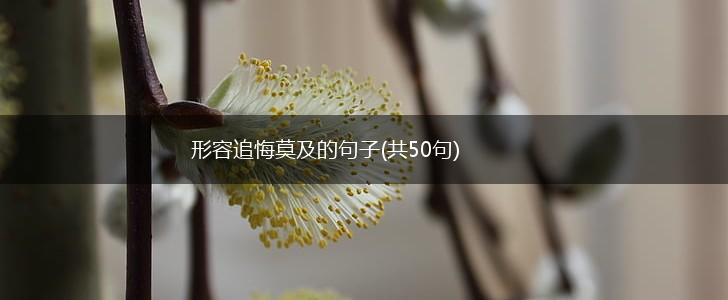 形容追悔莫及的句子(共50句),第1张
