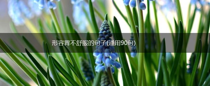 形容胃不舒服的句子(通用90句),第1张