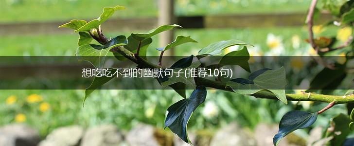 想吃吃不到的幽默句子(推荐10句),第1张