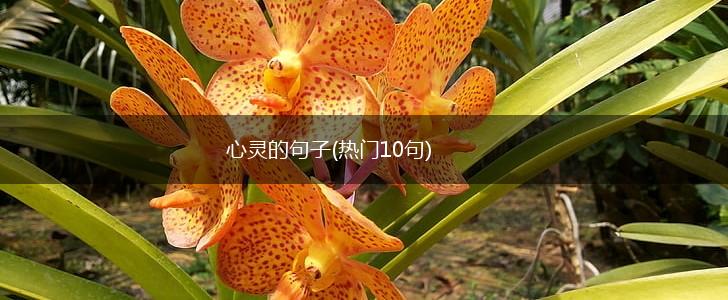 心灵的句子(热门10句),第1张