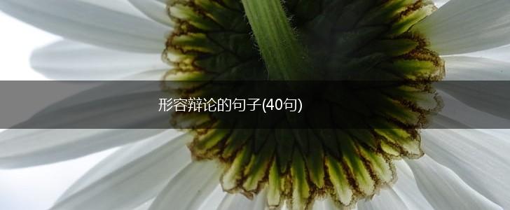 形容辩论的句子(40句),第1张