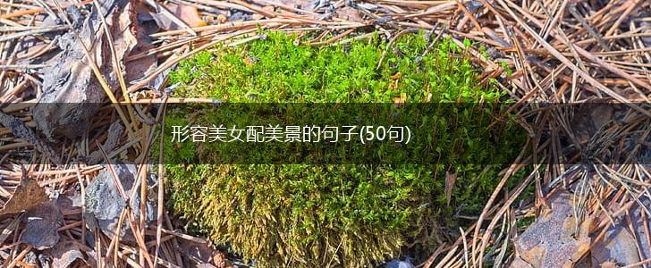 形容美女配美景的句子(50句),第1张