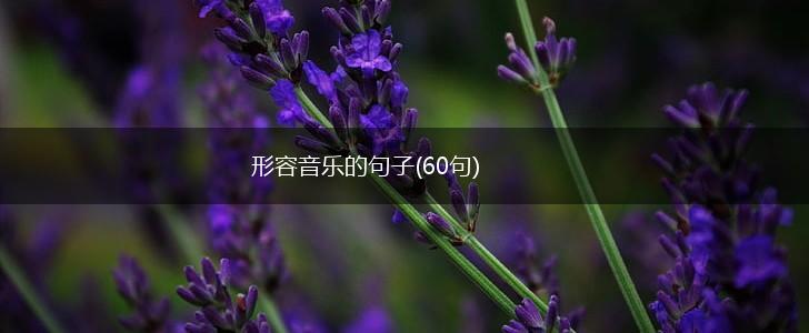 形容音乐的句子(60句),第1张