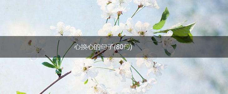 心换心的句子(80句),第1张