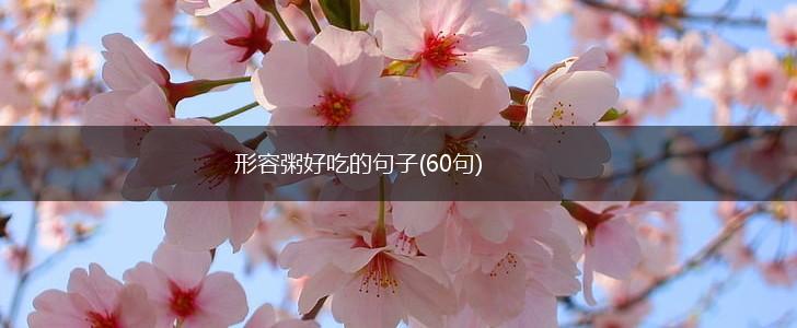 形容粥好吃的句子(60句),第1张