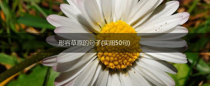 形容草原的句子(实用50句),第1张