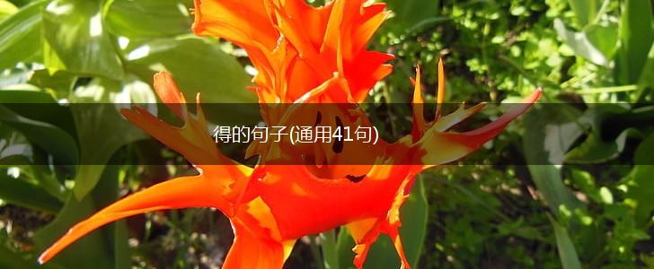 得的句子(通用41句),第1张
