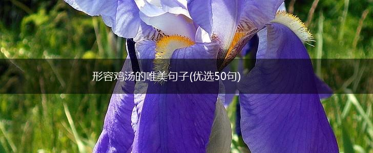 形容鸡汤的唯美句子(优选50句),第1张
