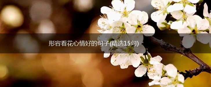 形容看花心情好的句子(精选15句),第1张