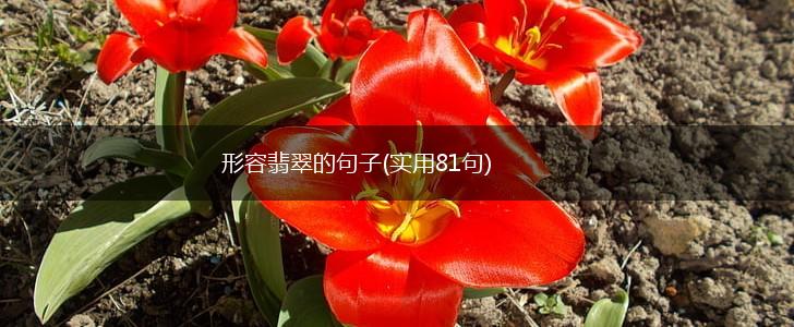 形容翡翠的句子(实用81句),第1张