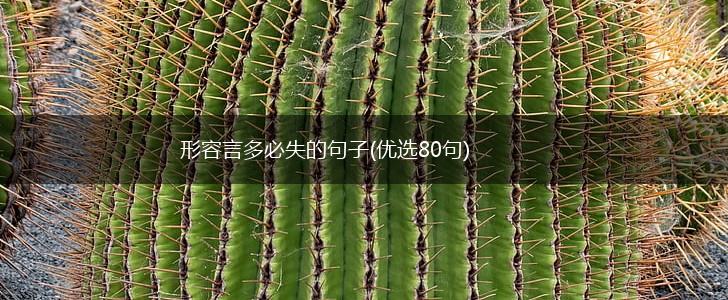 形容言多必失的句子(优选80句),第1张