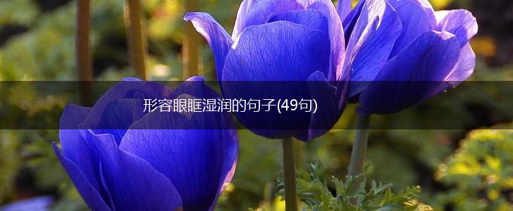 形容眼眶湿润的句子(49句),第1张