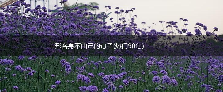 形容身不由己的句子(热门90句),第1张