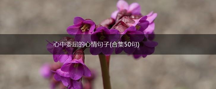 心中委屈的心情句子(合集50句),第1张