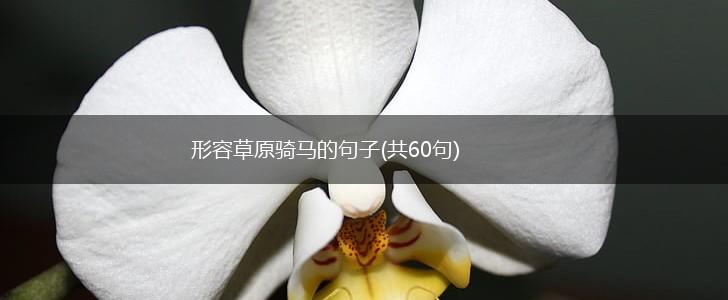 形容草原骑马的句子(共60句),第1张