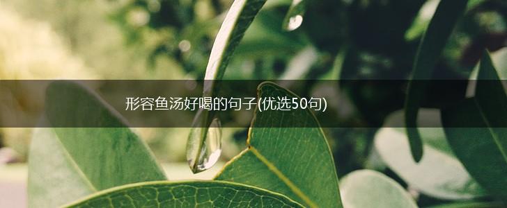 形容鱼汤好喝的句子(优选50句),第1张