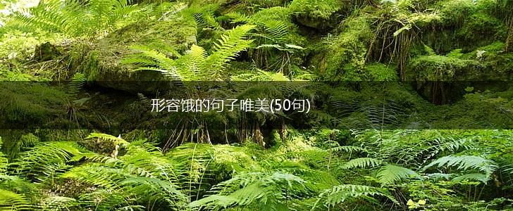 形容饿的句子唯美(50句),第1张