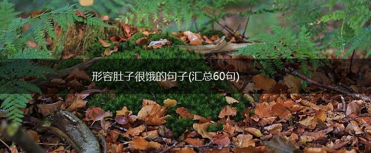 形容肚子很饿的句子(汇总60句),第1张