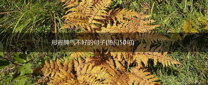 形容脾气不好的句子(热门50句),第1张