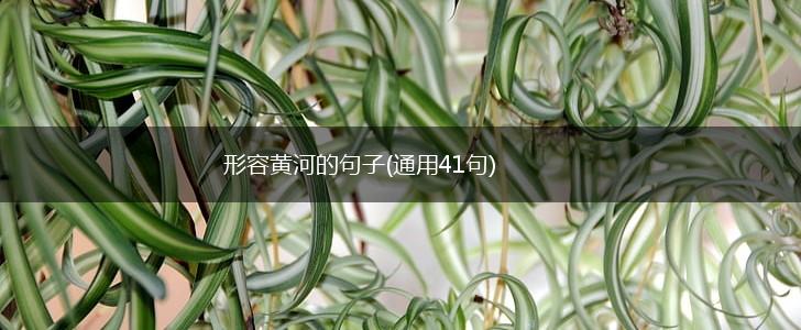 形容黄河的句子(通用41句),第1张