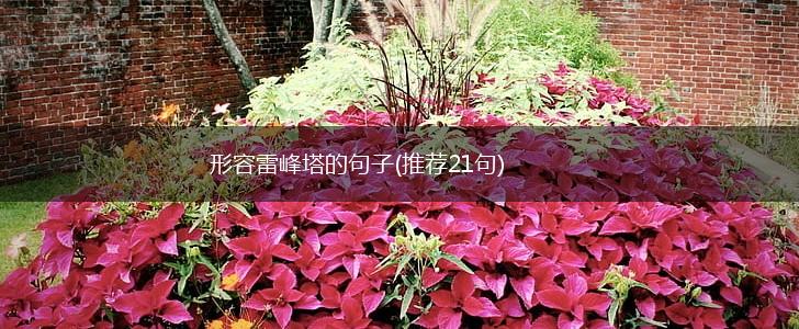 形容雷峰塔的句子(推荐21句),第1张