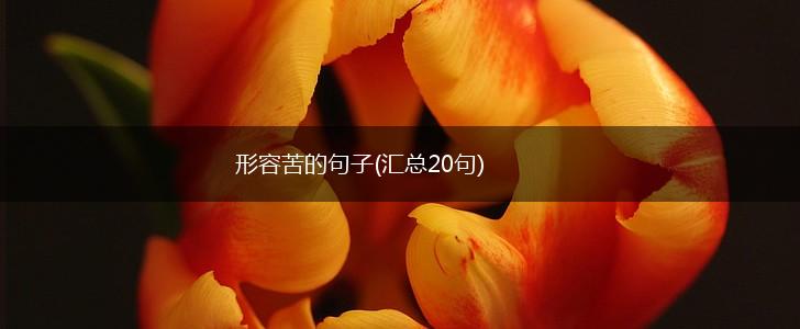 形容苦的句子(汇总20句),第1张