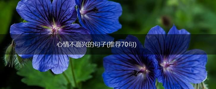 心情不高兴的句子(推荐70句),第1张