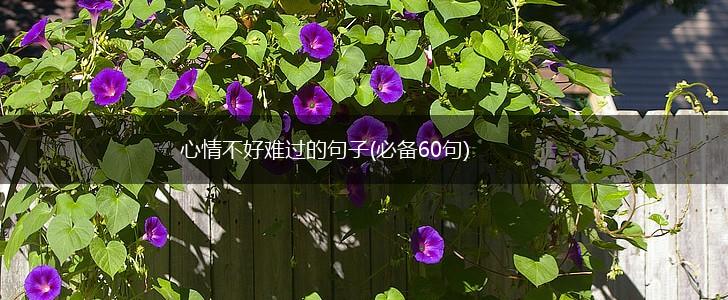 心情不好难过的句子(必备60句),第1张