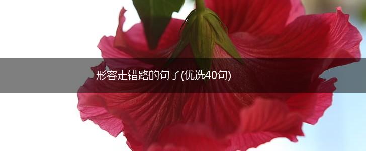 形容走错路的句子(优选40句),第1张