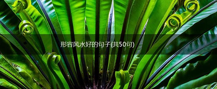 形容风水好的句子(共50句),第1张