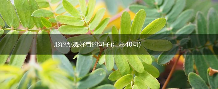 形容跳舞好看的句子(汇总40句),第1张