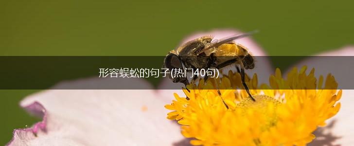 形容蜈蚣的句子(热门40句),第1张