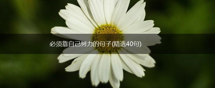 必须靠自己努力的句子(精选40句),第1张
