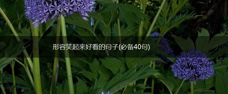形容笑起来好看的句子(必备40句),第1张