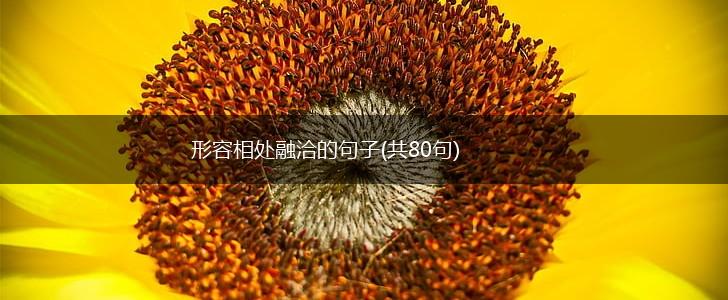 形容相处融洽的句子(共80句),第1张