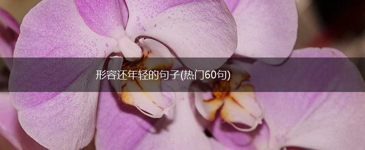 形容还年轻的句子(热门60句),第1张