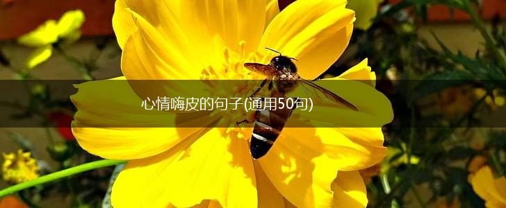 心情嗨皮的句子(通用50句),第1张